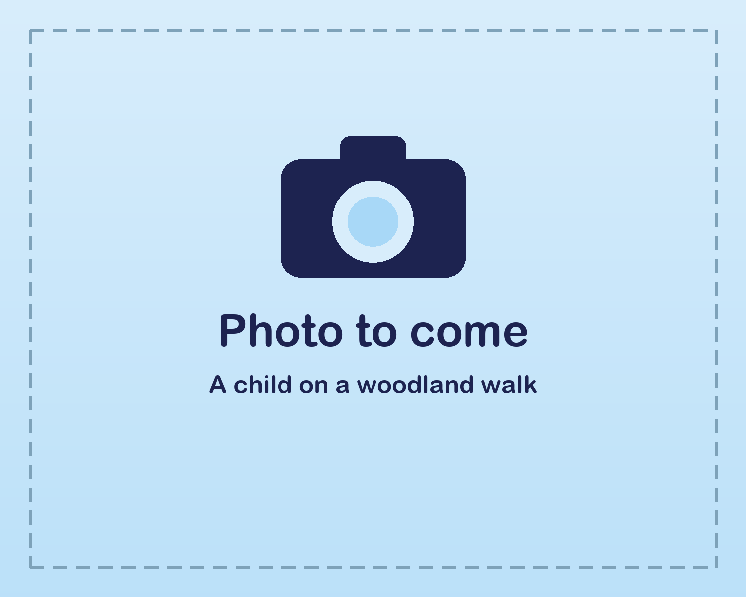 A child on a woodland walk